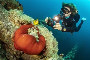 Sealife-unterwasserkamera-Micro-3.0-In-Use-Shots-1-960x600